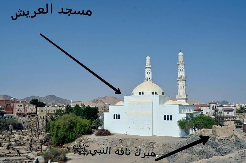 Prophet Muhammad's (PBUH) camel sat in Badr